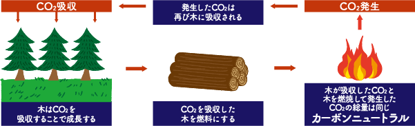 CO2吸収,木はCO2を吸収することで成長する,CO2を吸収した木を燃料にする,木が吸収したCO2と木を燃焼して発生したCO2の総量は同じカーボンニュートラル,CO2発生,発生したCO2は再び木に吸収される